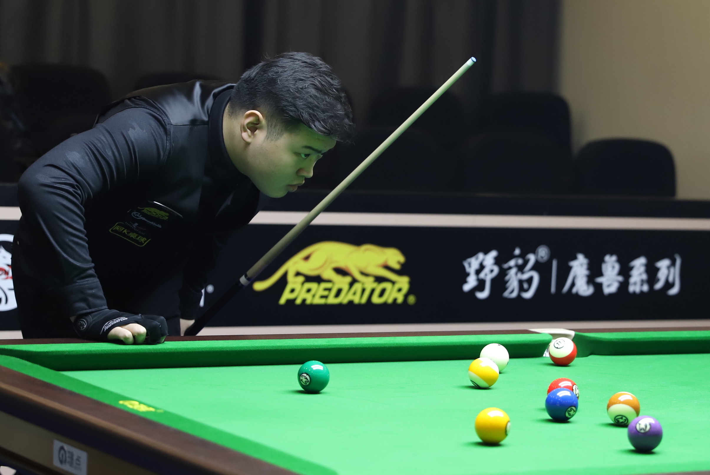 17年萨拉 17年萨拉