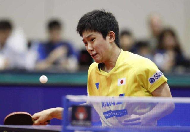 孙颖莎便凭 孙颖莎便凭