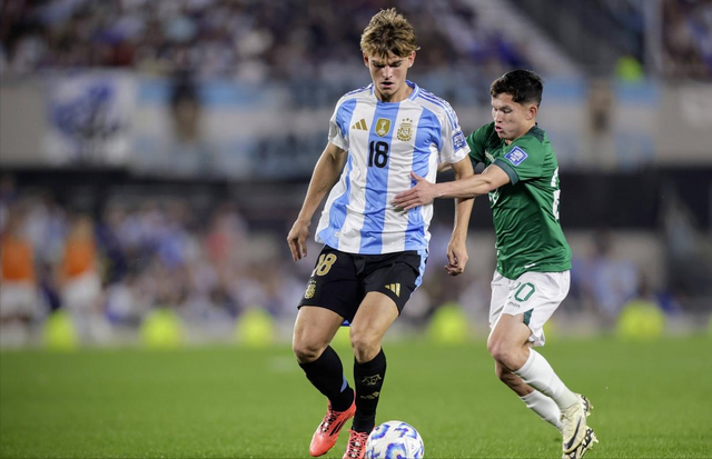 增添了新的 增添了新的