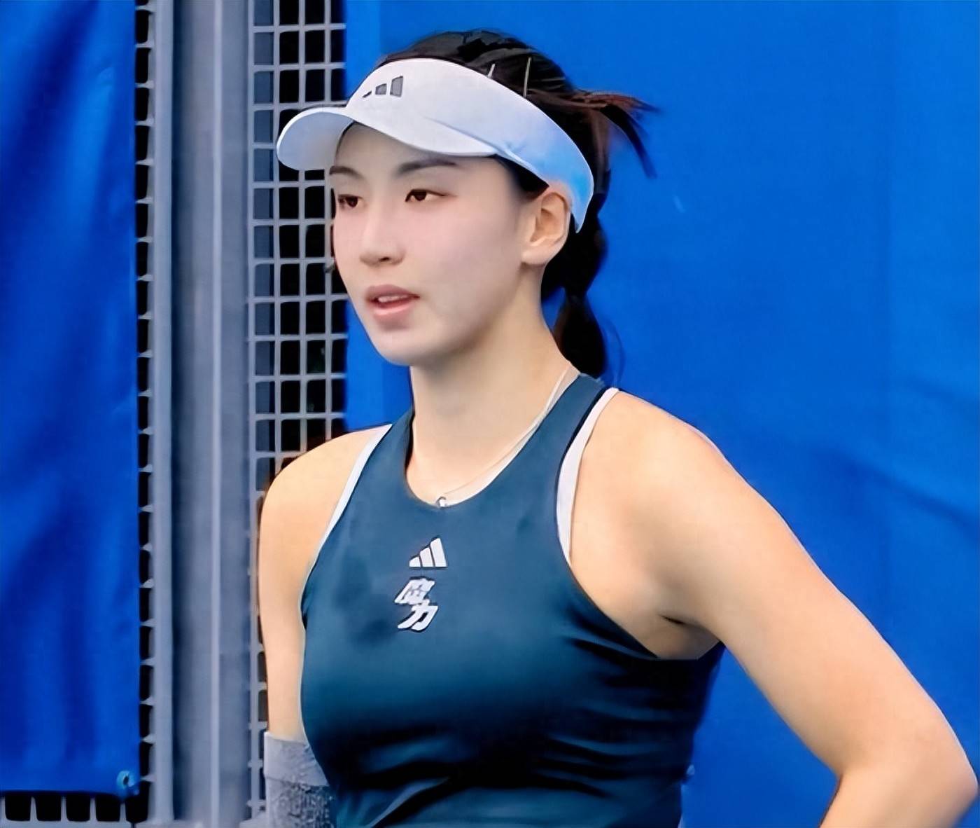 数百万溢价 数百万溢价