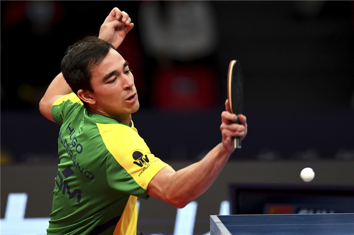 起是近年来 起是近年来